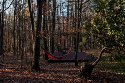 a hammock in the middle of a forest at Four Season Retreat in Heart of the Catskills in Fleischmanns