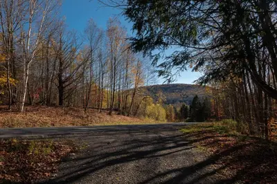 an empty road in the middle of a forest at Four Season Retreat in Heart of the Catskills in Fleischmanns