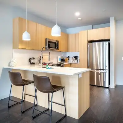 Luxury Apt Downtown