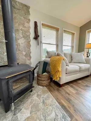 a living room with a couch and a fireplace at High-View Catskills Cabin in Margaretville