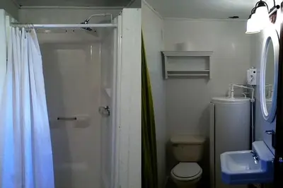 a bathroom with a shower and a toilet and a sink at Comfortable Cabin Right on Great Sacandaga Lake in Northville, New York in Northville