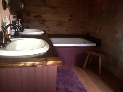 a bathroom with a sink and a bath tub at Bed and Breakfast Cabin for Weekend Getaway near Millbrook, New York in Dover Plains