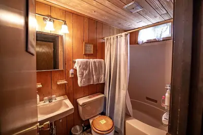 a small bathroom with a toilet and a sink at Rustic Cabin Rental with a Hot Tub near Windham, New York in Windham