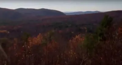 a view of a forest with mountains in the background at Pet-Friendly Rustic Cabin on Grafton Mountain, New York in Johnsonville