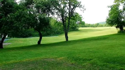 two trees in a grassy field with a golf course at Unique Renovated Barn Rental with Pond near Cooperstown, New York in Fly Creek