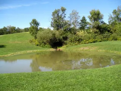 a pond in the middle of a green field at Unique Renovated Barn Rental with Pond near Cooperstown, New York in Fly Creek