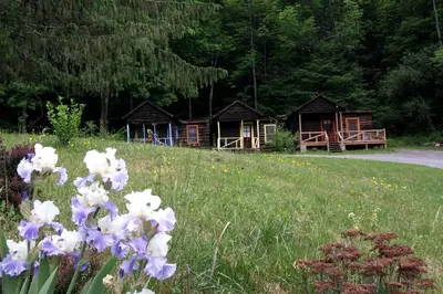 a group of wooden huts in a field with flowers at Rustic Couples' Cabin for Idyllic Catskills Getaway, Upstate New York in Shandaken