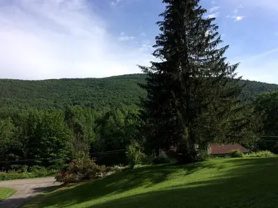 a large tree on top of a green hill at Superb Family Cabin with Mountain Views and Deck in Shandaken, New York in Shandaken