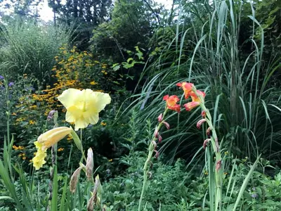 a garden with many different types of flowers at Superb Family Cabin with Mountain Views and Deck in Shandaken, New York in Shandaken