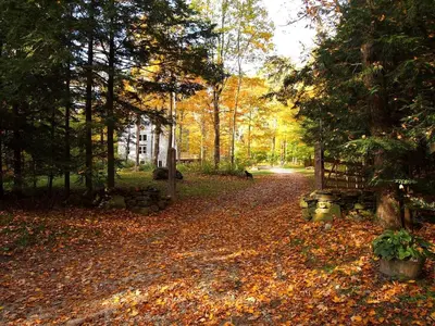 a path covered in leaves in the woods at Modern and Family-Friendly Vacation Rental in the Berkshires near Great Barrington in Monterey