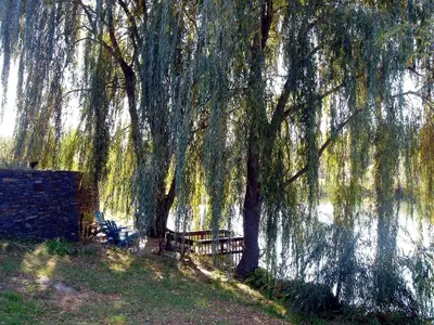 a group of benches under a tree next to a lake at Gorgeous Getaway Suite in a Converted Barn near Hudson, New York in Hudson