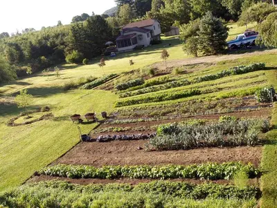 a farm field with rows of plants on a hill at Unique Vacation Rental on a Working Farm near Hudson, New York in Hudson