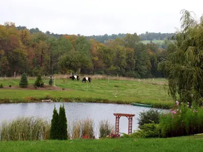 two horses grazing in a field next to a pond at Unique Vacation Rental on a Working Farm near Hudson, New York in Hudson