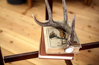 a pair of antlers hanging from a book on a table at Stylish Camping Tents Set on an Organic Farm in Hudson Valley, New York State in Ghent