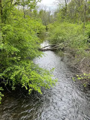 a stream of water with trees on the side at The Red Country Cottage in Amenia