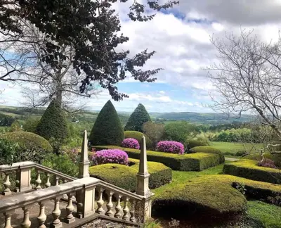 a garden with a staircase and bushes and trees at The Red Country Cottage in Amenia
