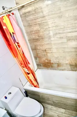 a bathroom with a toilet and a shower curtain at Guest First b4 Anything in Fresh Pond
