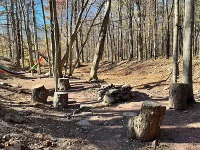 a group of logs and a kite in a forest at Catskills Escape Hot Tub Massage Chairs & Games in Round Top
