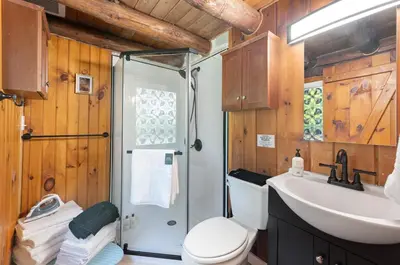 a bathroom with a shower and a toilet and a sink at The Bears Nest in Boiceville