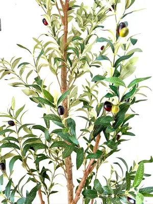 an image of a tree with olives on it at Masthope Heritage Chalet in Lackawaxen