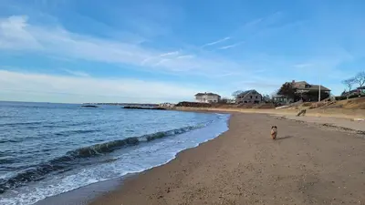 a dog standing on a beach next to the ocean at Enchanted Cottage 1 block to beach in Madison
