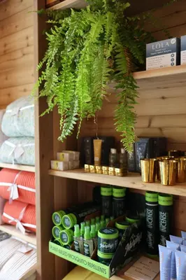 a shelf with green plants on it in a store at Prospect Berkshires in North Egremont