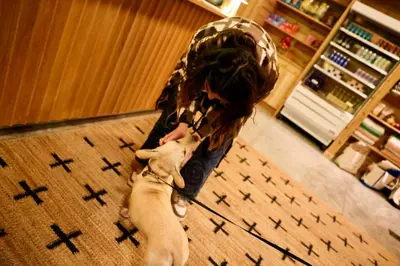 a person with a dog standing next to a child at Prospect Berkshires in North Egremont