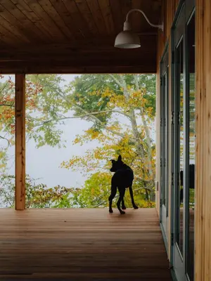 a black dog walking on a porch at Prospect Berkshires in North Egremont