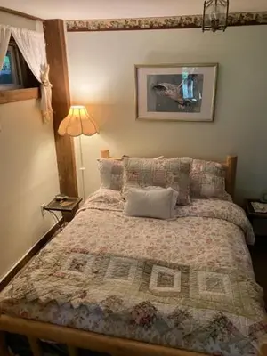 a bedroom with a bed with a comforter and a lamp at Owl's Nest Lodging