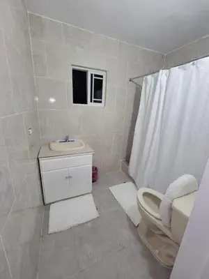 a bathroom with a toilet and a sink and a shower at sarah suite in Mount Vernon