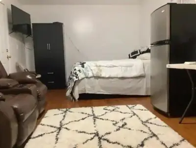 a living room with a bed and a rug at sarah suite in Mount Vernon