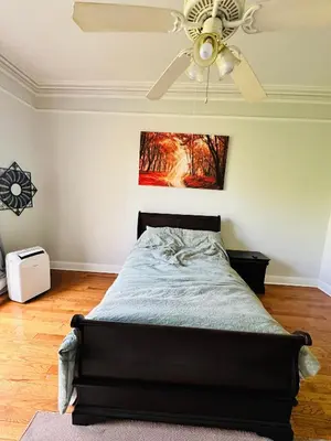 a bedroom with a bed with a ceiling fan at Charming, Spacious Apartment Downtown Albany in Albany