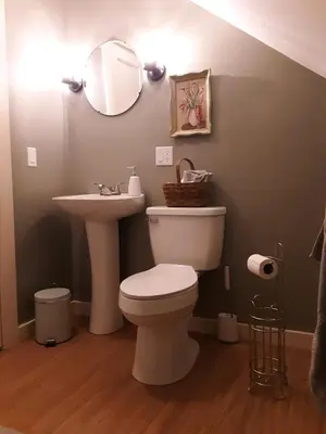 a bathroom with a toilet and a sink and a mirror at Apartment on the Battenkill River in Greenwich