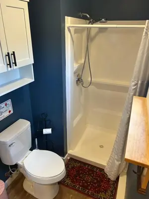 a bathroom with a white toilet and a shower at Tiny House on the Battenkill River in Greenwich