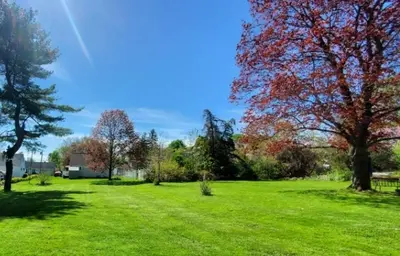a field of green grass with trees in the background at 5•Star Fave CapeCodStyle Gem with Bedroom on Main in New Britain