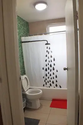 a bathroom with a toilet and a shower curtain at Hudson Guest House in Jersey City