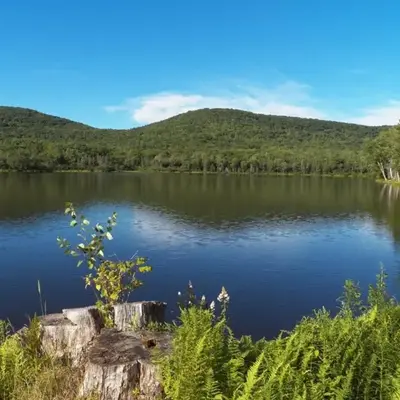 Serendipity Lake House