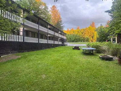 a green yard next to a building with a picnic table at West Wind Motel in Fleischmanns