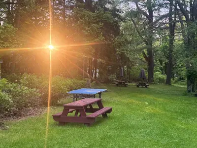 a picnic table in a field with the sun shining at West Wind Motel in Fleischmanns
