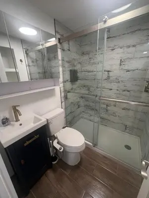 a bathroom with a toilet and a shower and a sink at Adirondack Home #8 in Hamilton