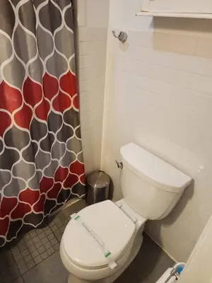 a bathroom with a toilet and a shower curtain at Garden Apartment in New York