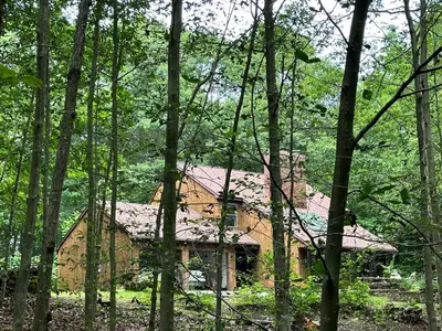 a large house in the middle of the forest at Nature's Nest - Woodland Retreat - Fireplace - Quiet and Cozy in Bethlehem