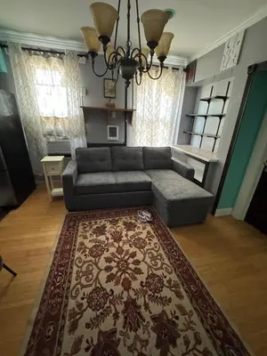 a living room with a couch and a rug at Classic king and queen suite in Schenectady