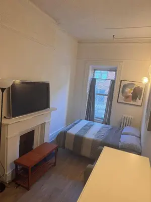 a bedroom with a bed and a fireplace with a television at Kitchenette in New York