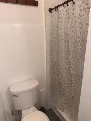a bathroom with a toilet and a shower curtain at Kitchenette in New York