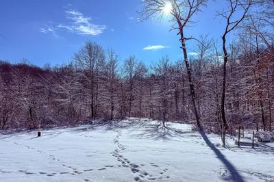 a snow covered field with footprints in the woods at Ski, Snowshoe and Fish Dome Escape in Nature! in Warren