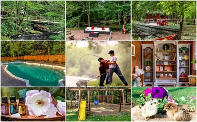 a collage of pictures of people and animals and a pool at Cozy Cottage Rental with Small Private Pond in Canadensis, Pennsylvania in Canadensis