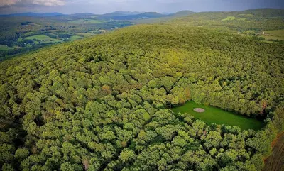 an aerial view of a forest with a green field at Incredible Equipped Yurt Amazing for a Glamping Experience in East Meredith, New York in East Meredith