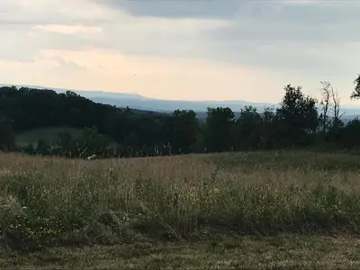 a field of grass with trees in the background at Runamuk Farm Camp with a View near the Adirondacks in Cambridge