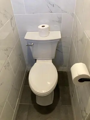 a white toilet in a bathroom with a roll of toilet paper at Overlook Hotel in Saugerties